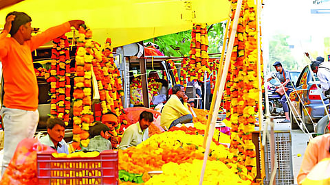 Marigold Flower