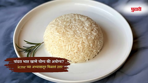 Healthy diet news