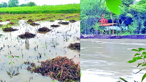 Parbhani Rain