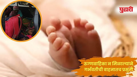 त्र्यंबकेश्वर (नाशिक) 