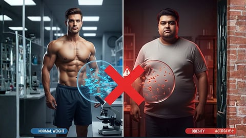Obesity Male Fertility 