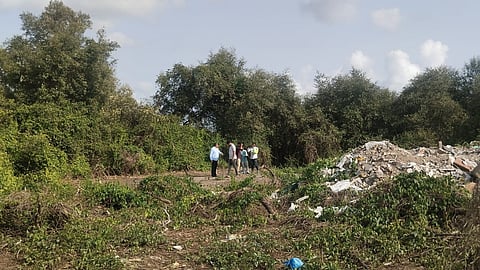 Palghar Kandalvan survey