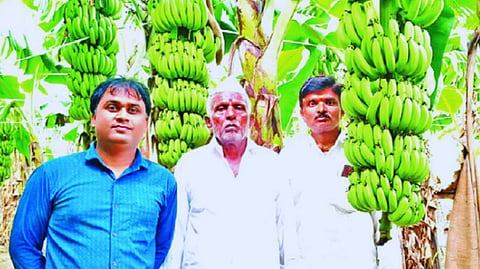 Beed News