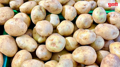 Potato Farmers Price Drop