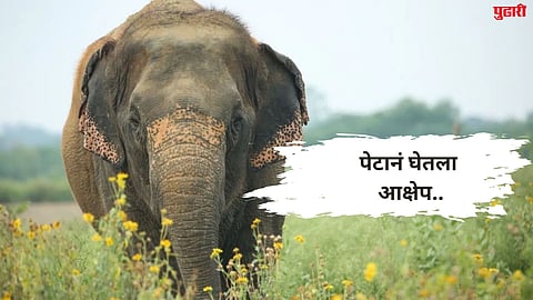 Mahadevi Elephant Case