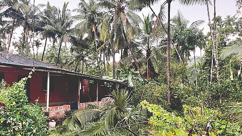 Hirgaon Rakasghati Cyclone