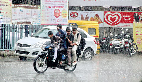 Sangli rain