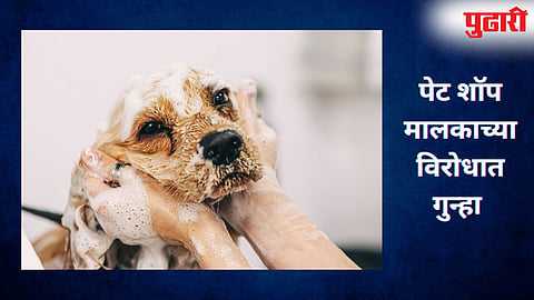 Pune Pet Shop