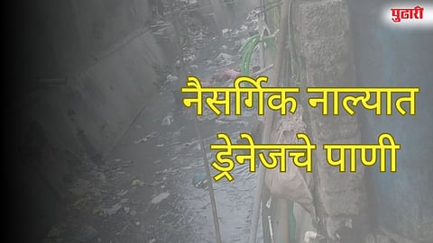 नैसर्गिक नाल्यात ड्रेनेजचे पाणी