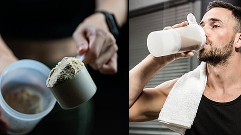 Protein powder
