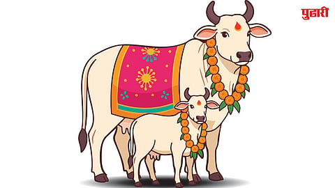 Govatsa Dwadashi: गोवत्स द्वादशी, गाय-वासरूच्या पूजनाने दिवाळीला प्रारंभ