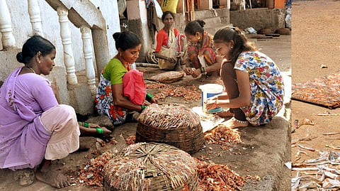 fishing season Diwali