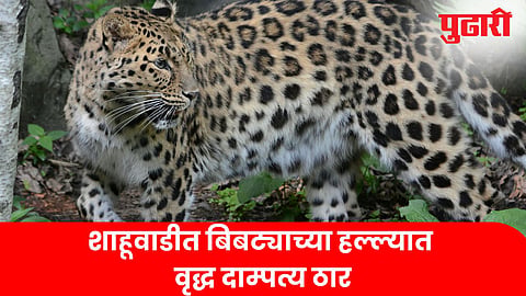Shahuwadi Couple Death