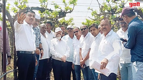 Grapes farm assessment Junner Maharashtra