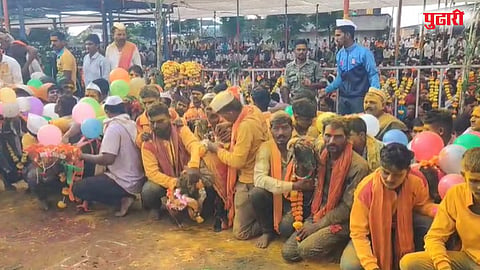 Adampur Bakri Bhujwane