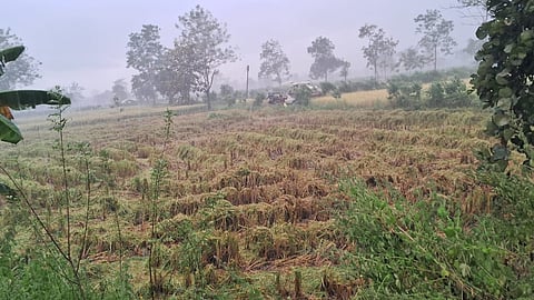 Bhandara Heavy Rainfall