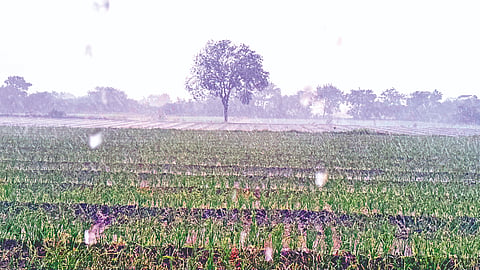 चांदवड ( नाशिक ) 