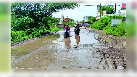 Beed News