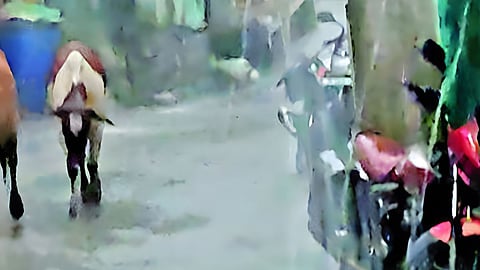 Soygaon Rain