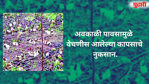 Sambhajinagar Unseasonal Rain