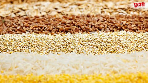 Rabi Seed 
