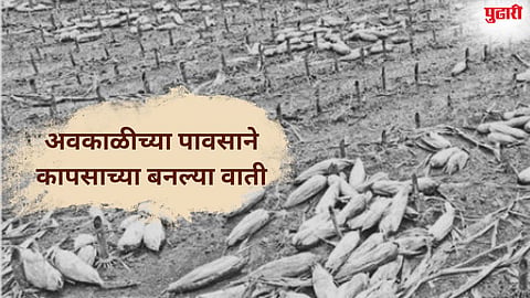 Jalna News