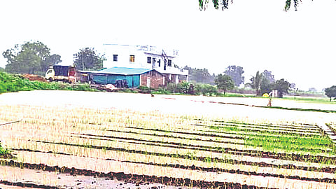 चांदवड (नाशिक) 