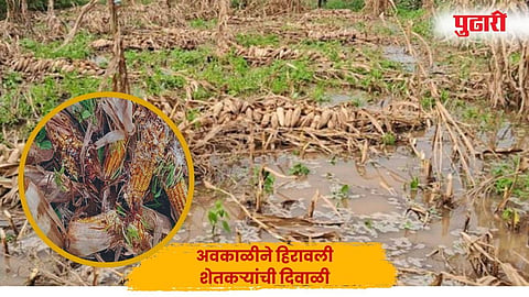 पिंपळनेर (जि. धुळे)