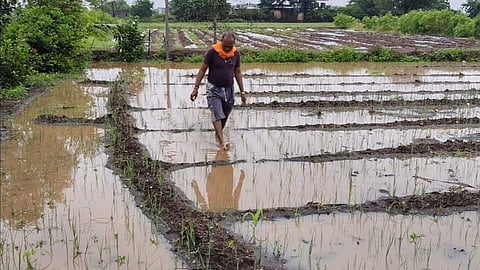 nashik