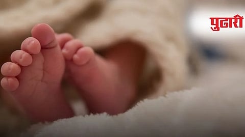 infant