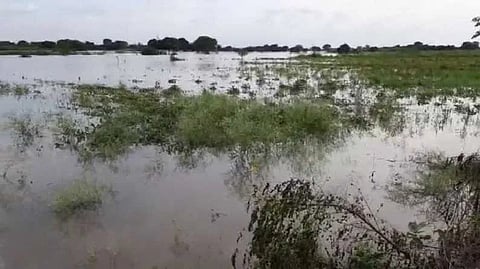 रेणापूर  (लातूर ) 
