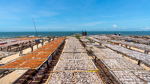 Coastal land issue