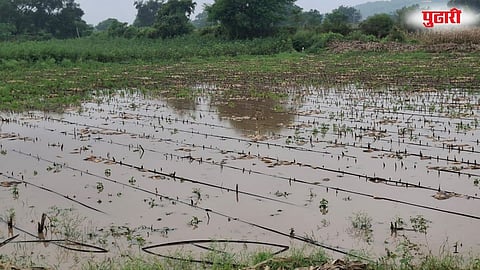 Unseasonal Rain Kharif Crop Damage 