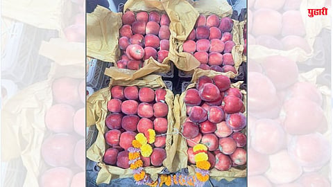 Iran Apple