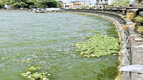 Rankala Lake