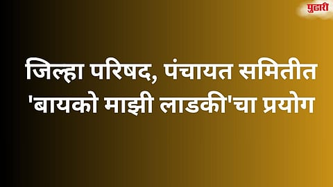 Zilla Parishad Election