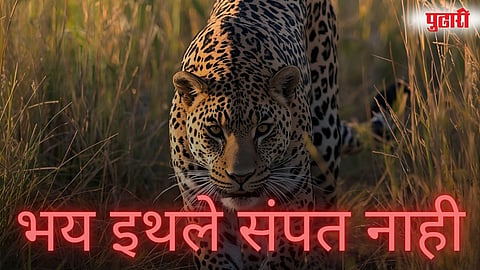 Pune Leopard News : शेवाळेवाडी परिसरात बिबट्याचा वावर, वन विभागाकडून परिसराची पाहणी