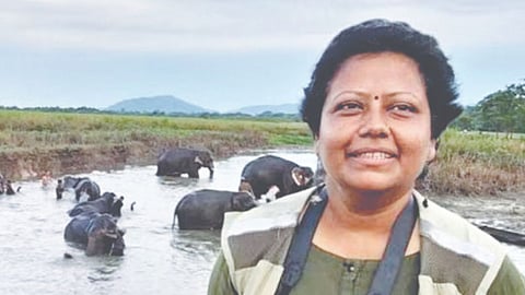 Dr Sonali Ghosh