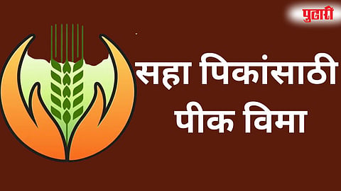 Rabi Crop Insurance