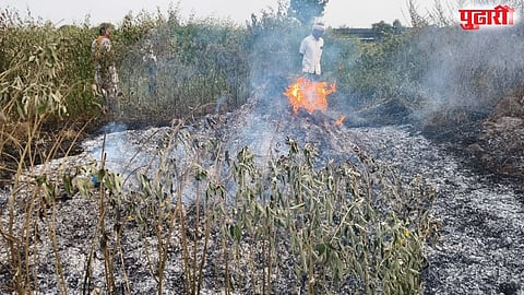 Naigaon soybean haystack fire
