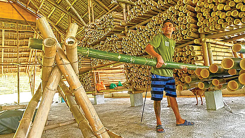 Earthquake Resistant Bamboo | भूकंप-प्रतिरोधक बांबू : इमारतींसाठी नवा आधार