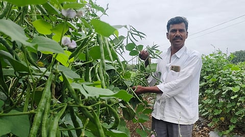 Beed News