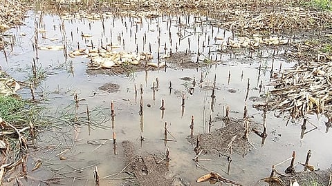 छत्रपती संभाजीनगर
