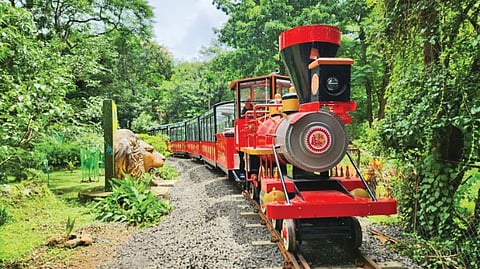 SGNP toy train
