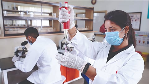 Pharmacy admission 2025