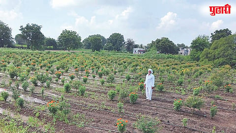 Rabi Sowing Delay