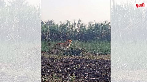 ‘काळ आला होता, पण वेळ आली नव्हती!’