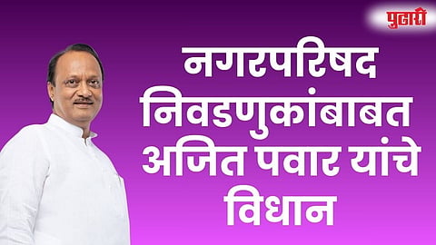 Mahayuti Election