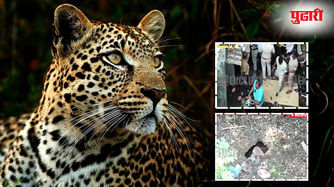 Kolhapur Leopard Attack : कमान अन्‌‍ कवा पाडलायसा, कळालंच नाही; जंगलातून थेट कोल्हापुरात आलो