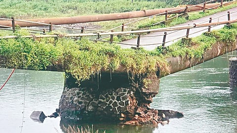 Ratnagiri News
